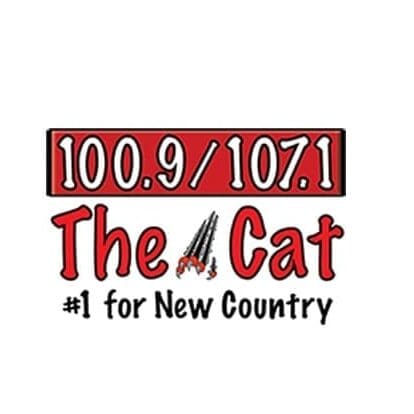 "The Cat" Albany radio station logo